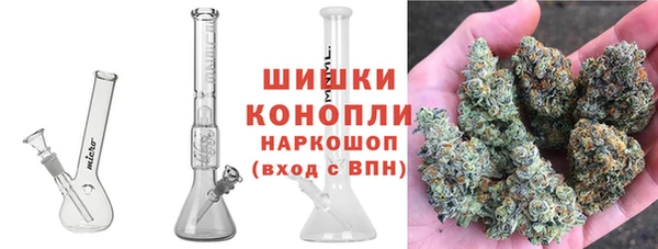 не бодяженный Заводоуковск