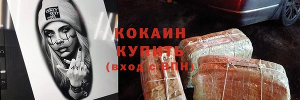 не бодяженный Заводоуковск