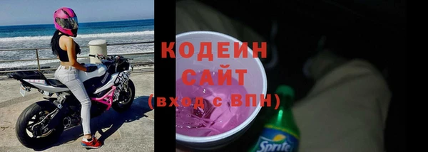 не бодяженный Заводоуковск