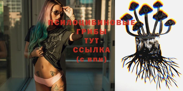 стаф Заволжск