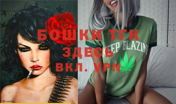 не бодяженный Заводоуковск